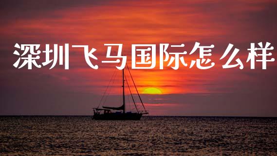 深圳飞马国际怎么样_https://wap.lcpcjs.com_股港行情_第1张