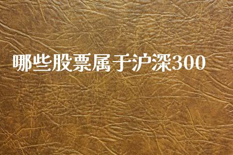 哪些股票属于沪深300_https://wap.lcpcjs.com_美股行情_第1张