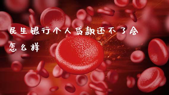 民生银行个人贷款还不了会怎么样_https://wap.lcpcjs.com_外汇市场_第1张
