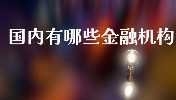 国内有哪些金融机构_https://wap.lcpcjs.com_全球经济_第1张