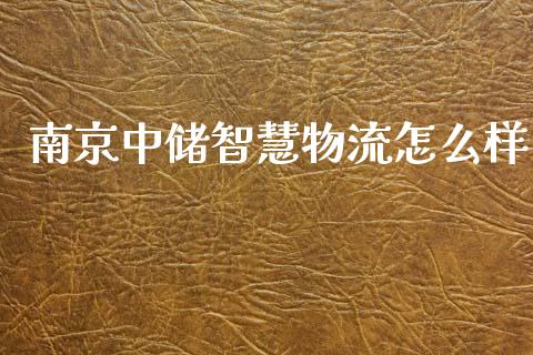 南京中储智慧物流怎么样_https://wap.lcpcjs.com_股港行情_第1张
