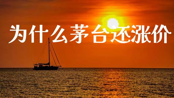 为什么茅台还涨价_https://wap.lcpcjs.com_美股行情_第1张