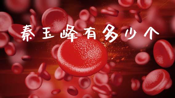 秦玉峰有多少个_https://wap.lcpcjs.com_美股行情_第1张