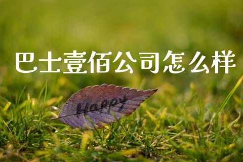 巴士壹佰公司怎么样_https://wap.lcpcjs.com_外汇市场_第1张