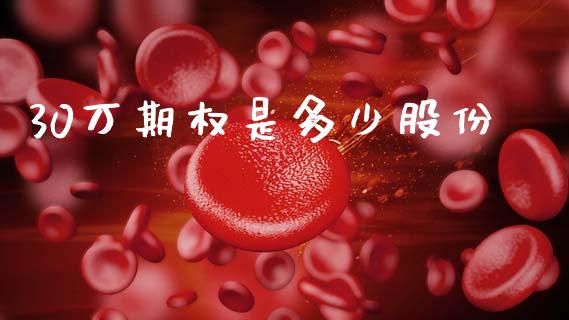 30万期权是多少股份_https://wap.lcpcjs.com_外汇市场_第1张