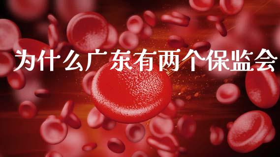 为什么广东有两个保监会_https://wap.lcpcjs.com_美股行情_第1张