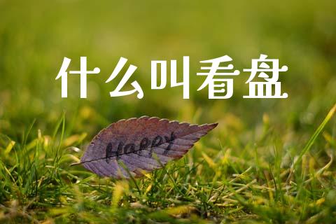 什么叫看盘_https://wap.lcpcjs.com_股港行情_第1张