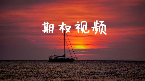 期权视频_https://wap.lcpcjs.com_美股行情_第1张