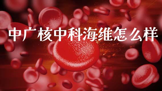 中广核中科海维怎么样_https://wap.lcpcjs.com_全球经济_第1张