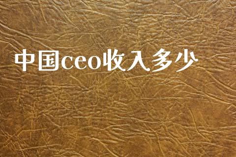 中国ceo收入多少_https://wap.lcpcjs.com_全球经济_第1张
