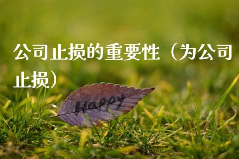 公司止损的重要性（为公司止损）_https://wap.lcpcjs.com_股港行情_第1张
