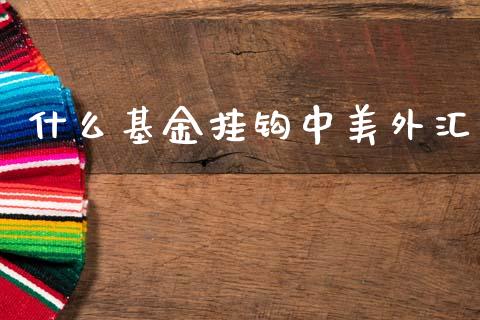 什么基金挂钩中美外汇_https://wap.lcpcjs.com_全球经济_第1张