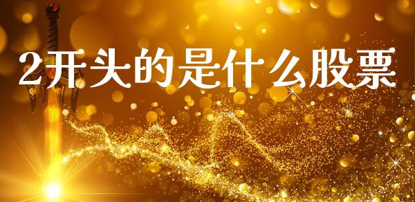 2开头的是什么股票_https://wap.lcpcjs.com_美股行情_第1张