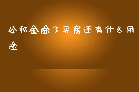 公积金除了买房还有什么用途_https://wap.lcpcjs.com_全球经济_第1张