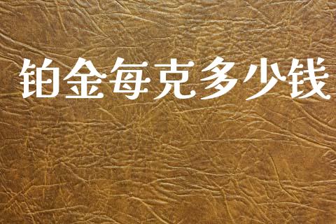 铂金每克多少钱_https://wap.lcpcjs.com_外汇市场_第1张