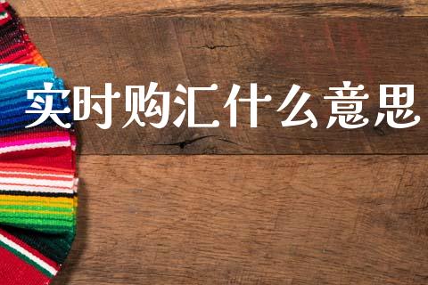 实时购汇什么意思_https://wap.lcpcjs.com_外汇市场_第1张