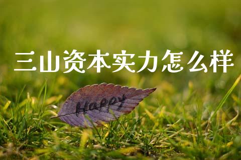 三山资本实力怎么样_https://wap.lcpcjs.com_美股行情_第1张