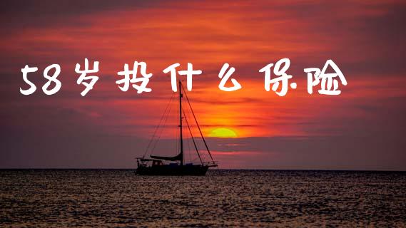 58岁投什么保险_https://wap.lcpcjs.com_美股行情_第1张