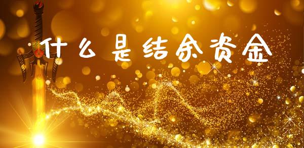 什么是结余资金_https://wap.lcpcjs.com_美股行情_第1张