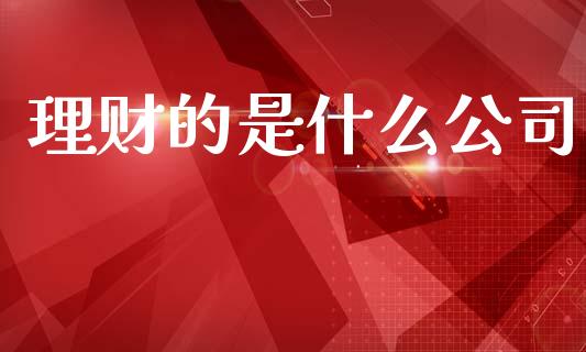 理财的是什么公司_https://wap.lcpcjs.com_股港行情_第1张