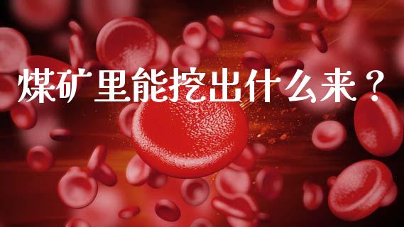 煤矿里能挖出什么来？_https://wap.lcpcjs.com_全球经济_第1张
