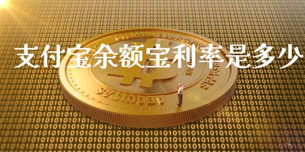 支付宝余额宝利率是多少_https://wap.lcpcjs.com_外汇市场_第1张