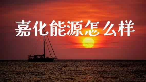 嘉化能源怎么样_https://wap.lcpcjs.com_外汇市场_第1张