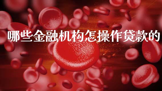 哪些金融机构怎操作贷款的_https://wap.lcpcjs.com_股港行情_第1张