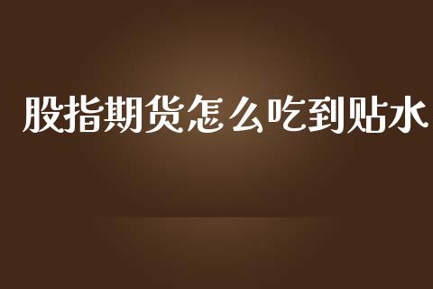 股指期货怎么吃到贴水_https://wap.lcpcjs.com_美股行情_第1张