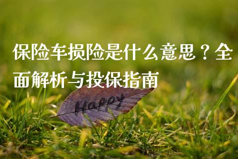 保险车损险是什么意思？全面解析与投保指南_https://wap.lcpcjs.com_美股行情_第1张