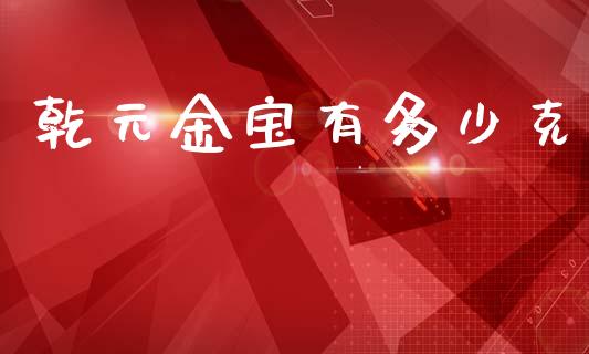 乾元金宝有多少克_https://wap.lcpcjs.com_美股行情_第1张