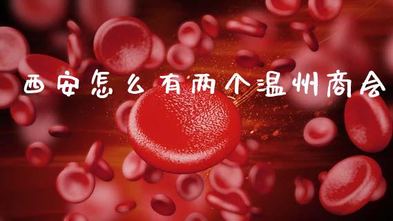 西安怎么有两个温州商会_https://wap.lcpcjs.com_美股行情_第1张