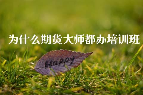 为什么期货大师都办培训班_https://wap.lcpcjs.com_美股行情_第1张