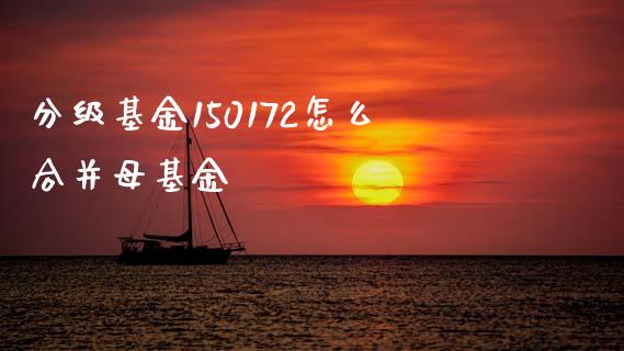 分级基金150172怎么合并母基金_https://wap.lcpcjs.com_美股行情_第1张