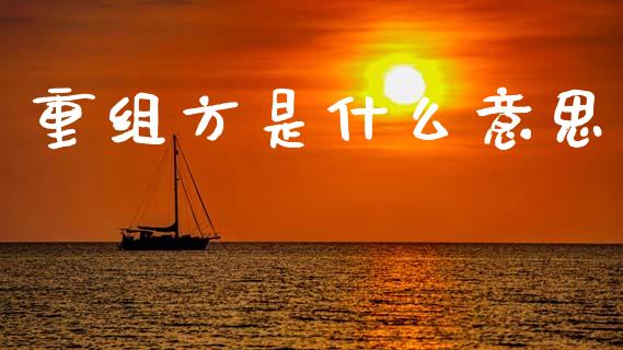 重组方是什么意思_https://wap.lcpcjs.com_外汇市场_第1张