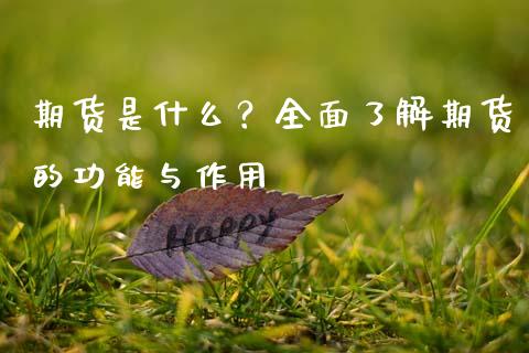 期货是什么？全面了解期货的功能与作用_https://wap.lcpcjs.com_外汇市场_第1张