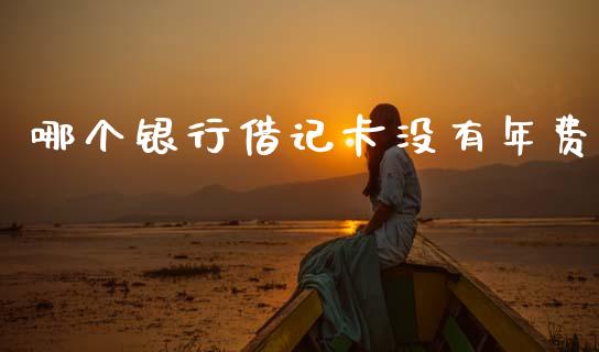 哪个银行借记卡没有年费_https://wap.lcpcjs.com_股港行情_第1张