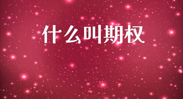 什么叫期权_https://wap.lcpcjs.com_全球经济_第1张