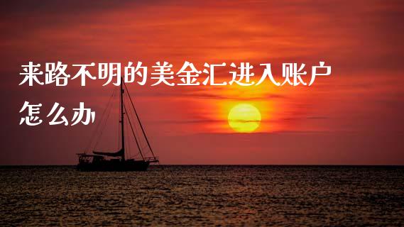 来路不明的美金汇进入账户怎么办_https://wap.lcpcjs.com_外汇市场_第1张