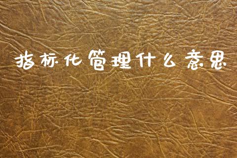 指标化管理什么意思_https://wap.lcpcjs.com_股港行情_第1张