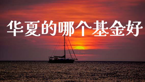 华夏的哪个基金好_https://wap.lcpcjs.com_全球经济_第1张