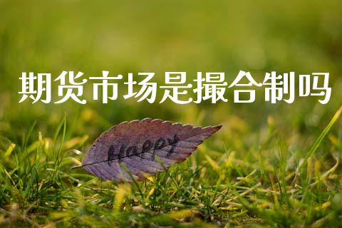 期货市场是撮合制吗_https://wap.lcpcjs.com_外汇市场_第1张