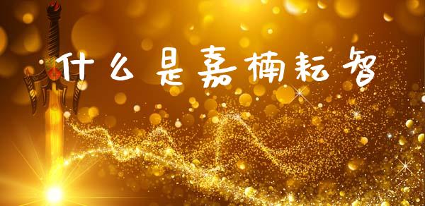 什么是嘉楠耘智_https://wap.lcpcjs.com_全球经济_第1张