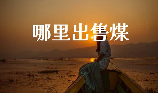 哪里出售煤_https://wap.lcpcjs.com_全球经济_第1张