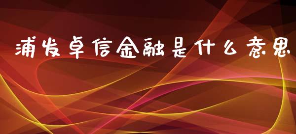 浦发卓信金融是什么意思_https://wap.lcpcjs.com_股港行情_第1张