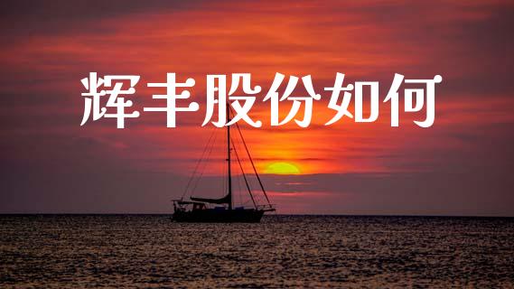 辉丰股份如何_https://wap.lcpcjs.com_全球经济_第1张