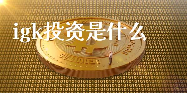 igk投资是什么_https://wap.lcpcjs.com_外汇市场_第1张
