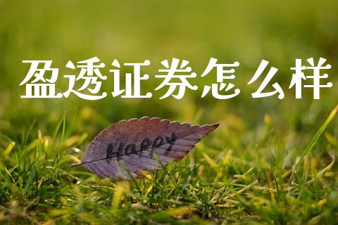 盈透证券怎么样_https://wap.lcpcjs.com_全球经济_第1张