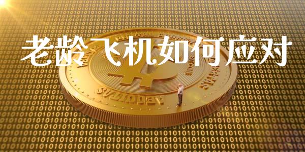 老龄飞机如何应对_https://wap.lcpcjs.com_全球经济_第1张