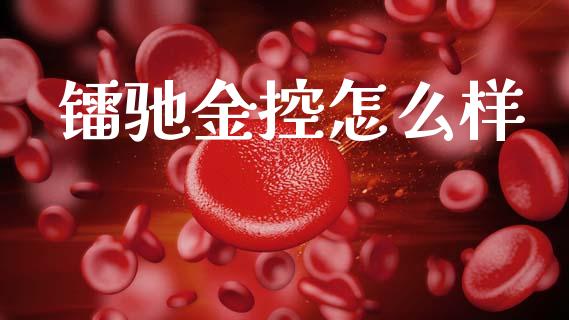 镭驰金控怎么样_https://wap.lcpcjs.com_美股行情_第1张